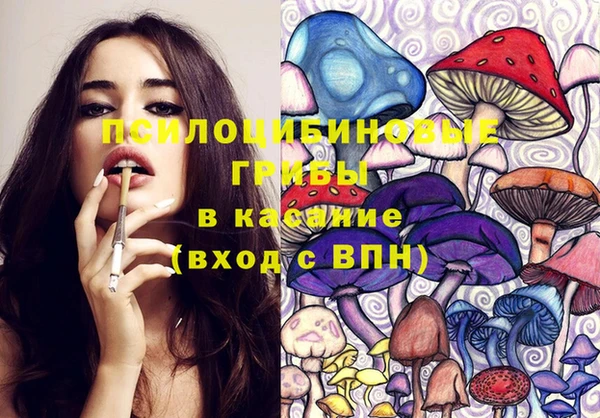 ГАЛЛЮЦИНОГЕННЫЕ ГРИБЫ Балабаново