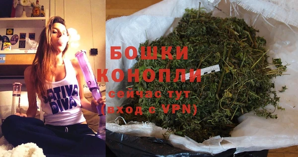 ГАЛЛЮЦИНОГЕННЫЕ ГРИБЫ Балабаново