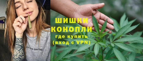 ГАЛЛЮЦИНОГЕННЫЕ ГРИБЫ Балабаново